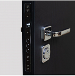 Дверь Цербер SS-01 Только 96 DIS007136 фото